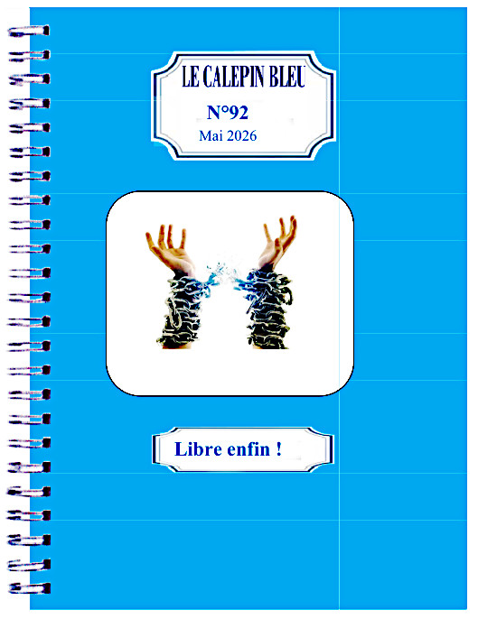 Le Calepin Bleu 93