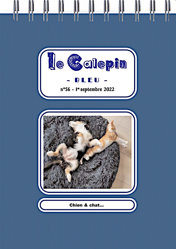 le calepin bleu 56