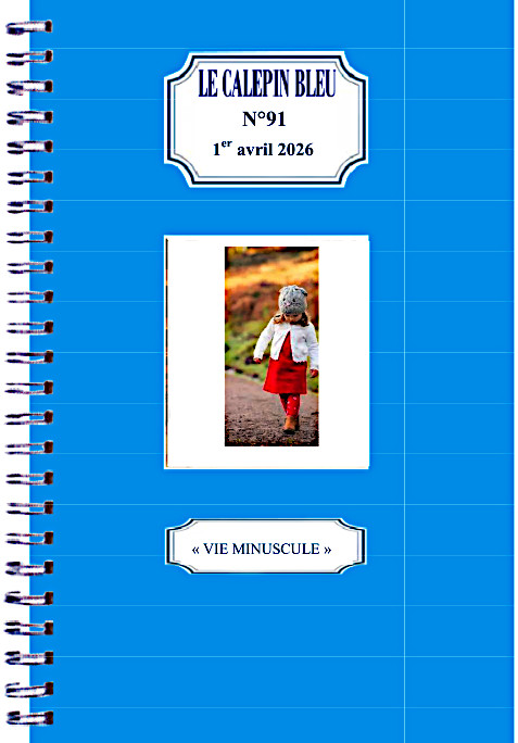 le calepin bleu 91